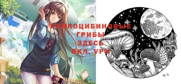 герыч Зерноград