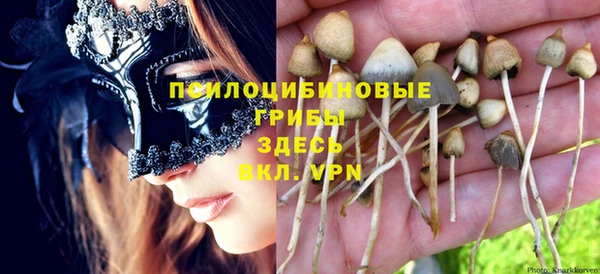 герыч Зерноград
