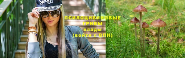 прущая мука Щигры