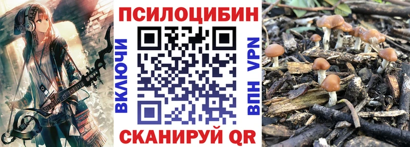 Псилоцибиновые грибы MAGIC MUSHROOMS  Сычёвка 